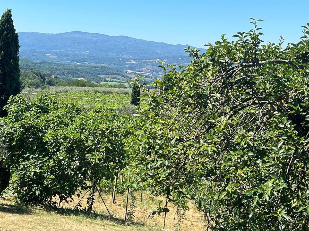 Farm stay San Jacopo *
