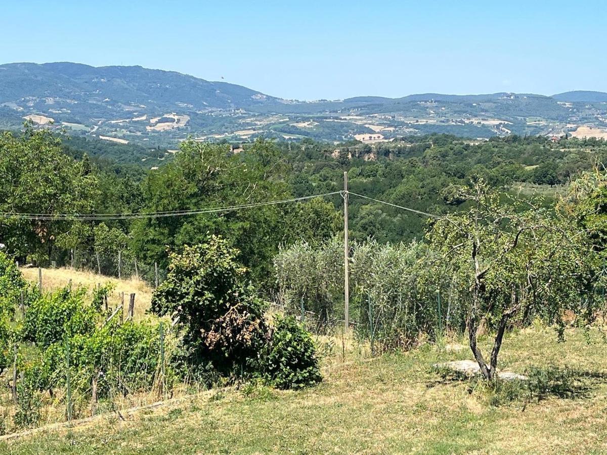 Farm stay San Jacopo