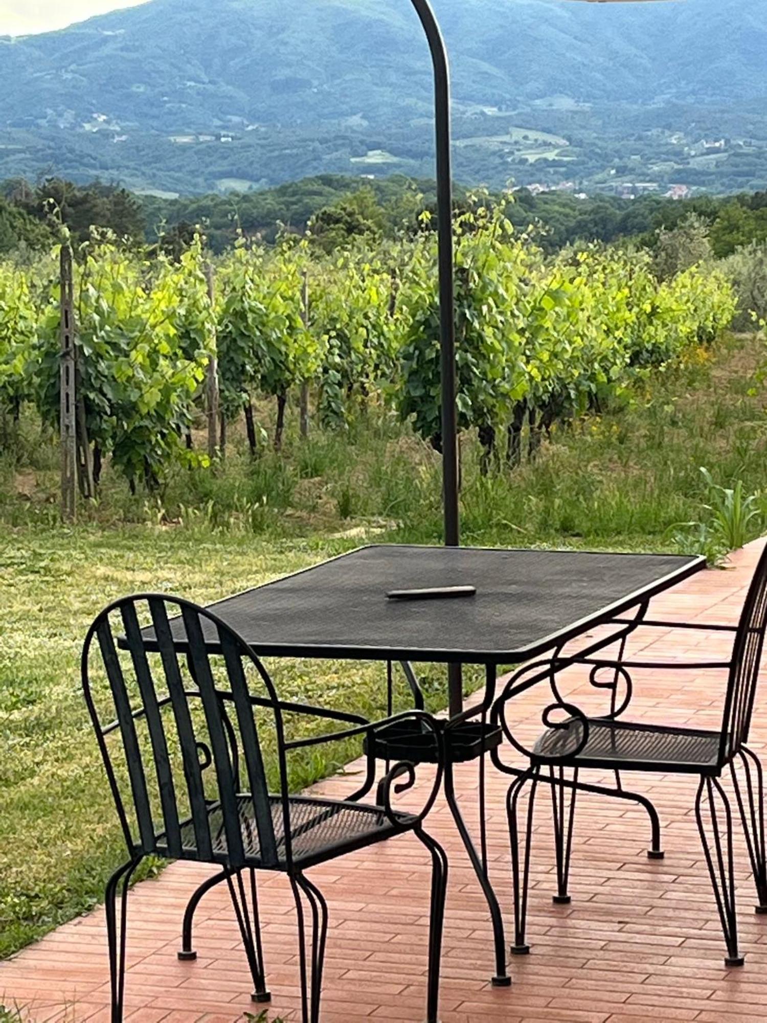 Farm stay San Jacopo *