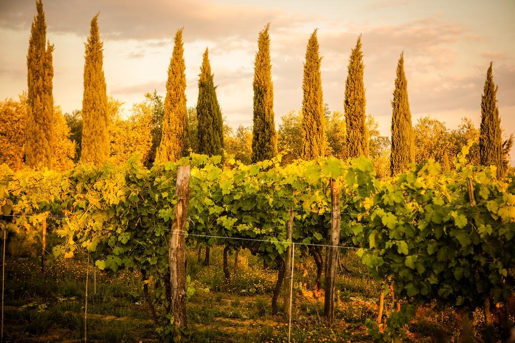 Farm stay San Jacopo