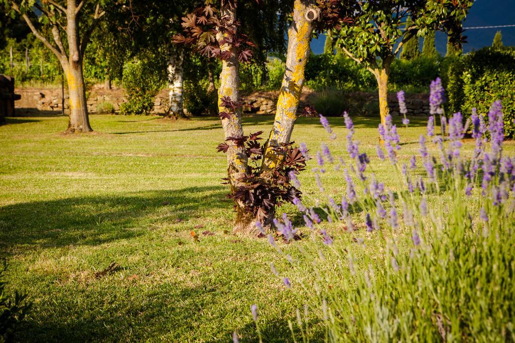 San Jacopo Farm stay